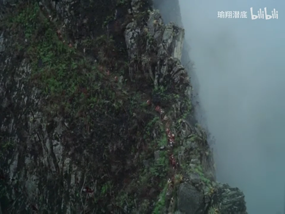 云雾遮住山壁右侧，一列穿红褐色衣服的人沿左侧陡峭窄径单列下降。