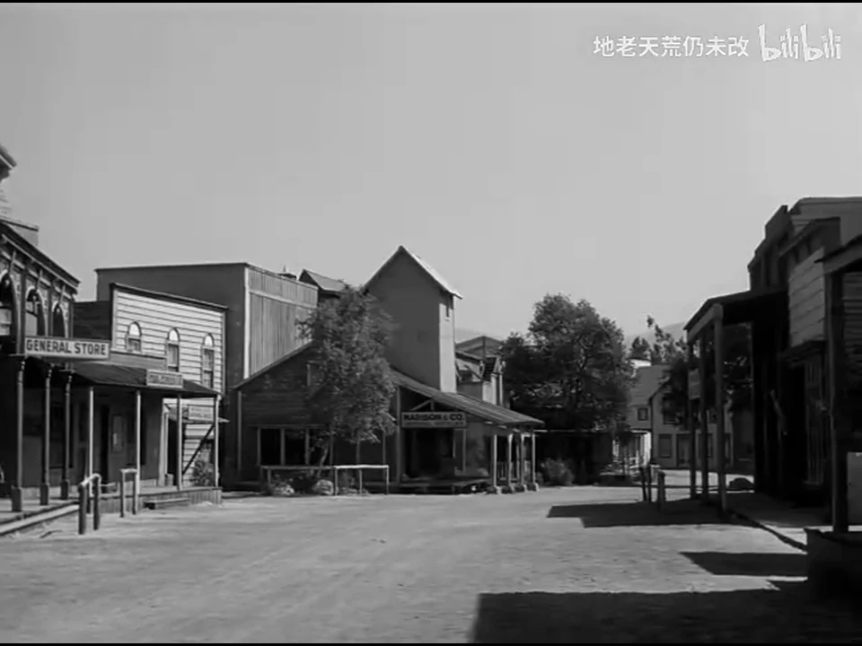 主街以宽景展开，两侧木制店面之间没有行人。