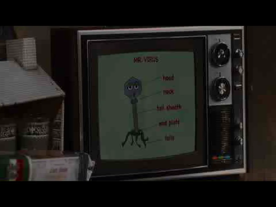 《纽约提喻法》第1P早餐电视段核验帧